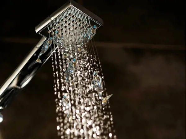 Close up of a shower head with streaming water.