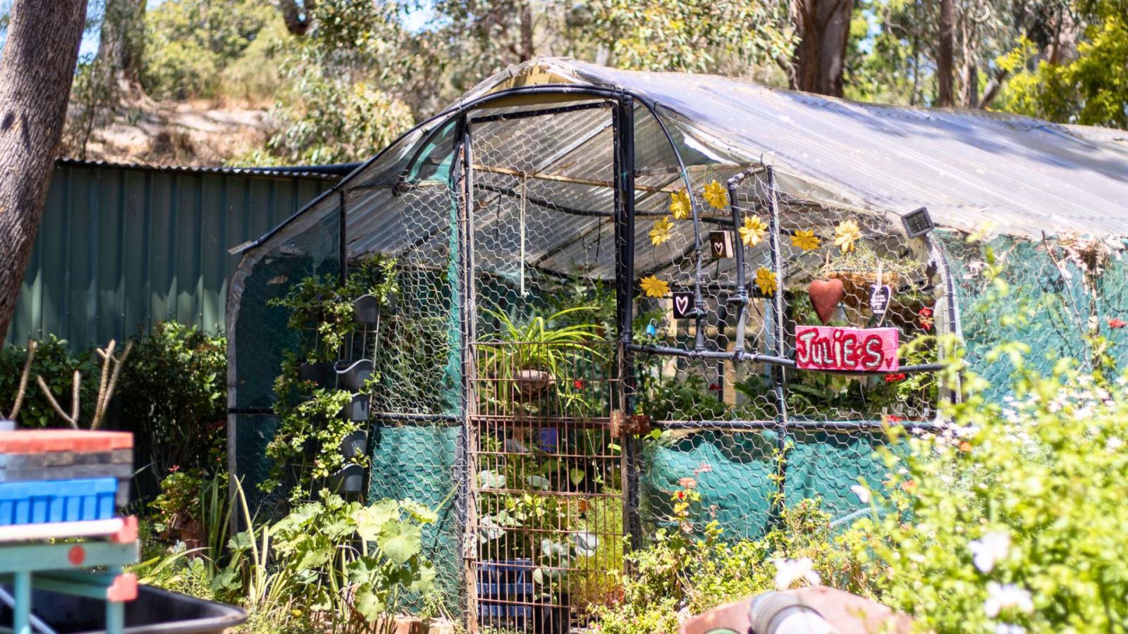 Image of Julie's nursery 