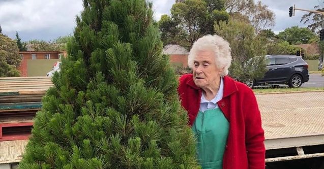 Beverley - Christmas tree lady