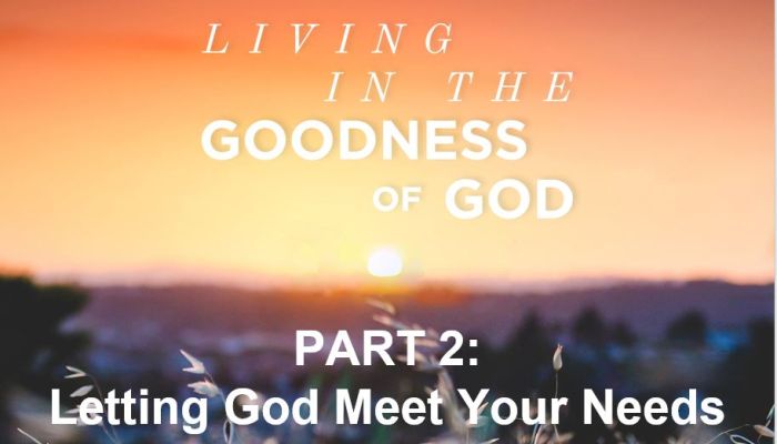 Living in the Goodness of God 0 Letting God Meet Your Needs