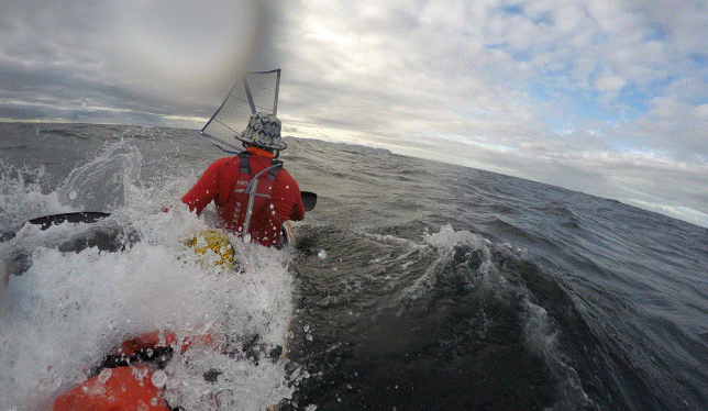 He kayaked across Bass Strait