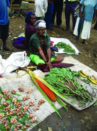 Helping farmers from the ground up