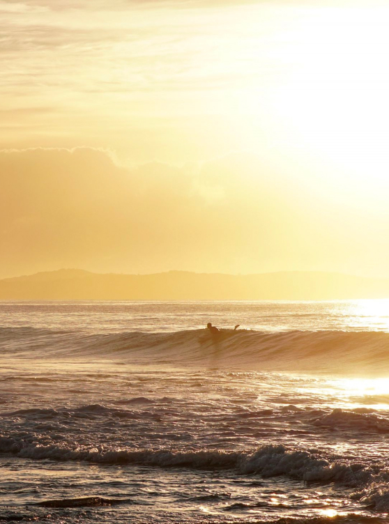 A lone surfer drifts in on a wave at sunset.