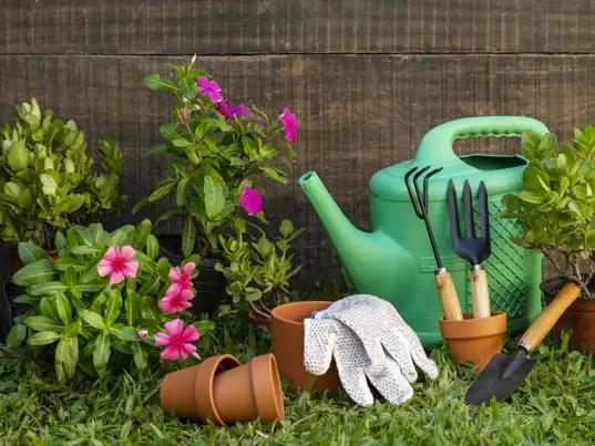 Welcome to our garden